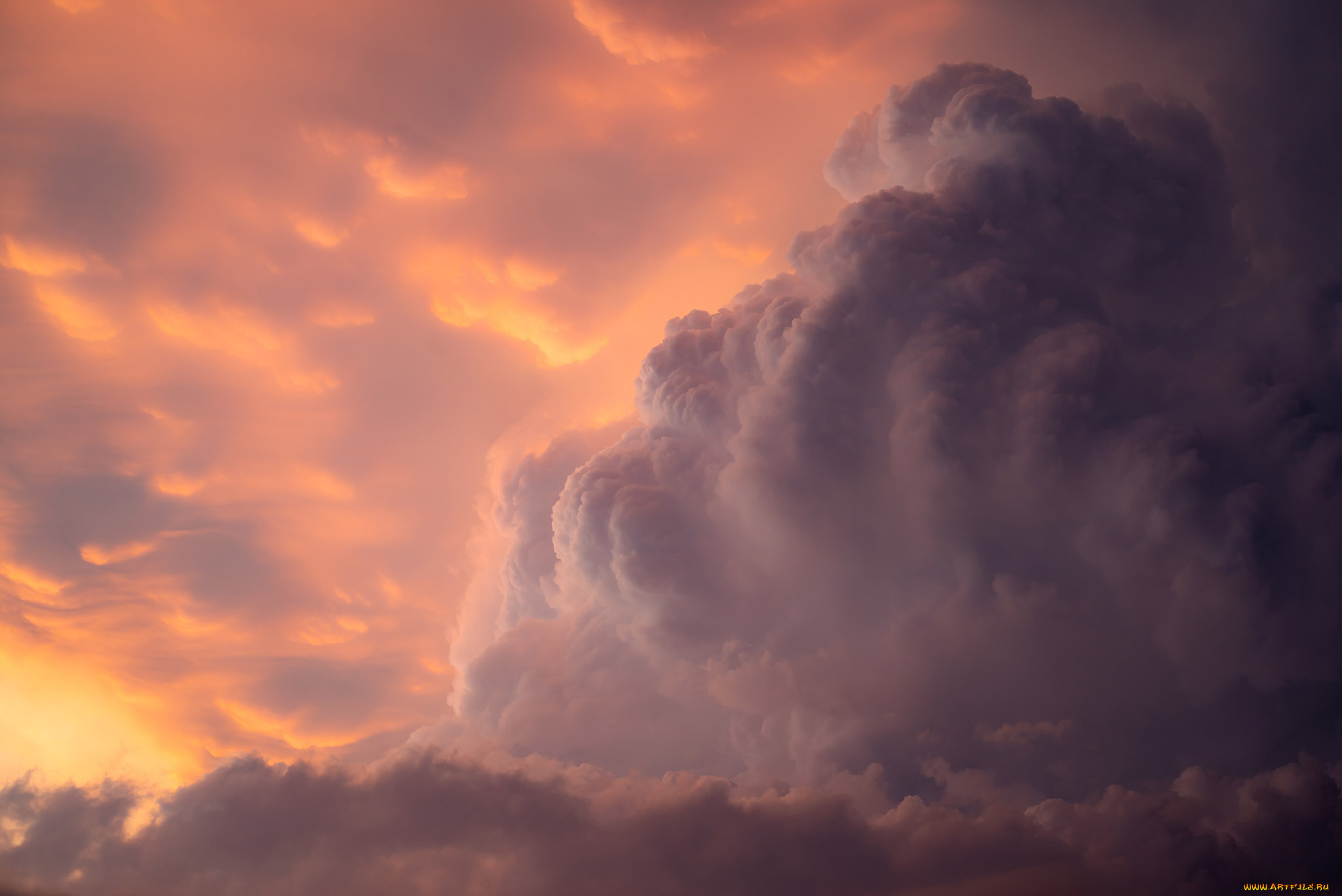 �������, ������, ����